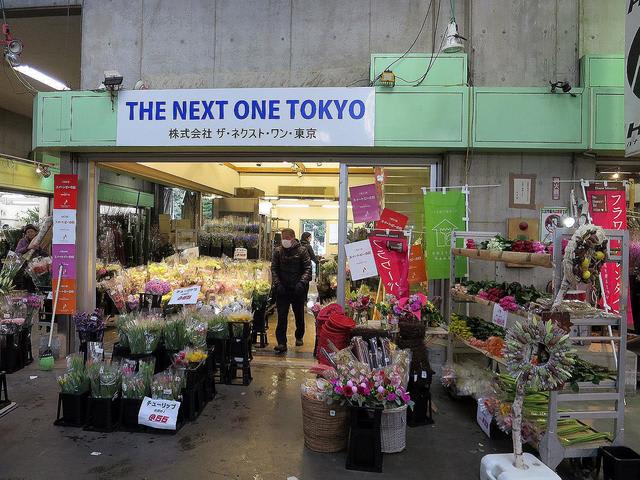 東京都大田花キ市場内 春爛漫 2 春夏秋冬 花 Mikio