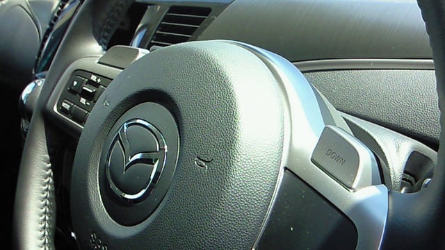 NEC_3520.JPG