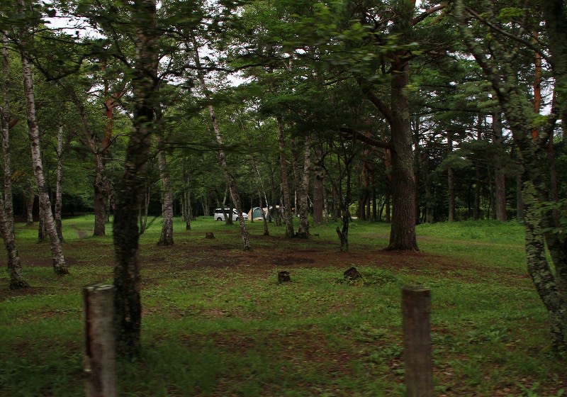 恒例のキャンプは台風直撃 Gorillaの見たまま撮影記