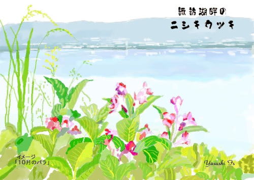 パソコンで描く　「諏訪湖畔に咲くニシキウツキ」