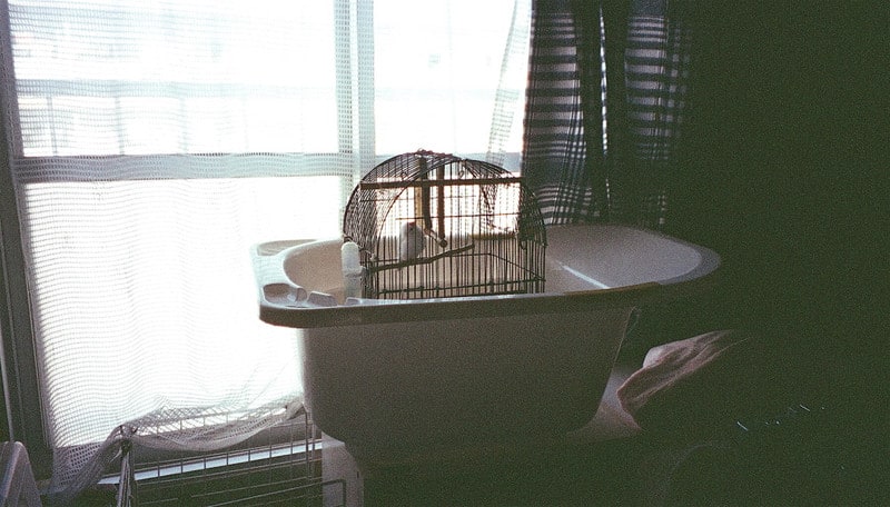 いくつか～Fujifilm Tiara ix-z：APS,AF,First photography