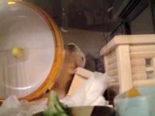 がるぅぅぅ