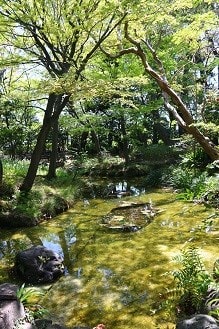 大森 Ⅳ - 史跡訪問の日々