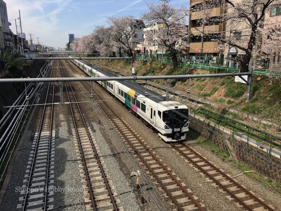 イメージ 5