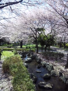 東綾瀬公園