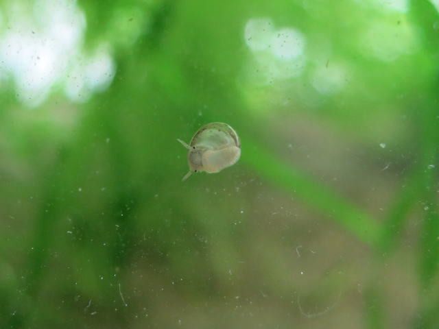 日の長さを実感する1日 いつか来た道 迷い道 いつの日か ノd 日の長さを実感する1日 いつか来た道 迷い道 いつの日か ノd