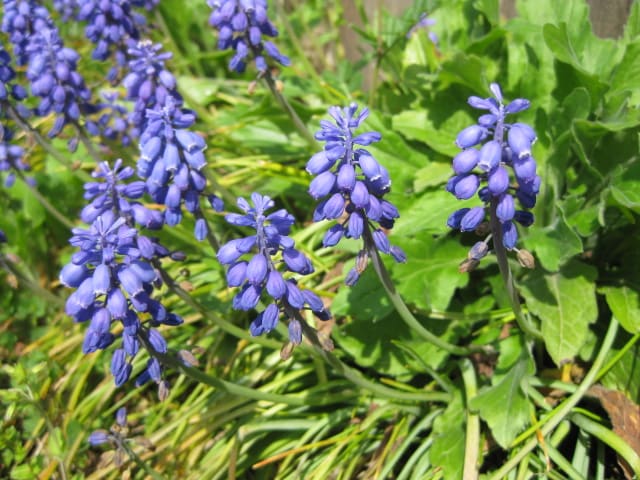 Photo Photo