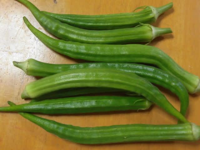 夏の野菜・長オクラの収穫 - 気ままな趣味の散歩道
