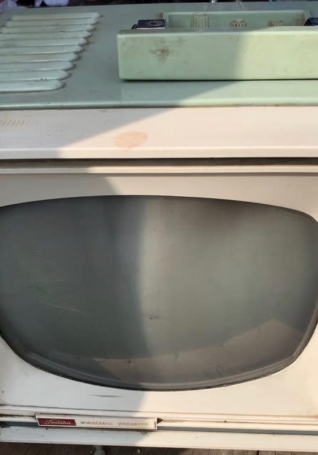 Toshiba Family Vision（東芝ファミリービジョン） について