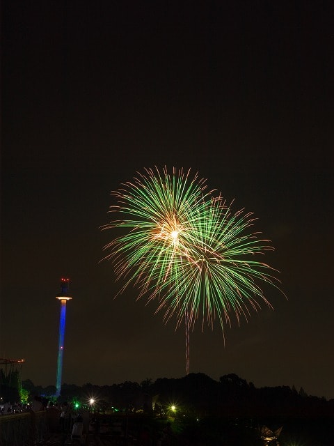 西武遊園地の花火 初心者の写真