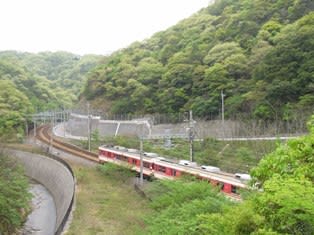 RIMG5809.jpg