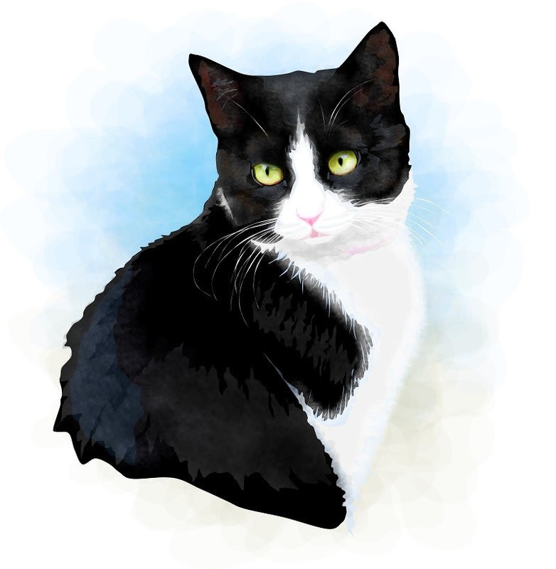 黒猫のイラスト パソコン絵手紙