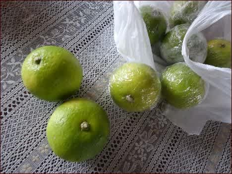 正ちゃんの踏み台 カボス丸かじり 座敷わらし犬とうさぎガーデン 正ちゃんの踏み台 カボス丸かじり 座敷わらし犬とうさぎガーデン