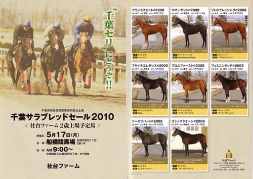 社台ファームが【千葉サラブレッドセール上場予定馬カタログ】を