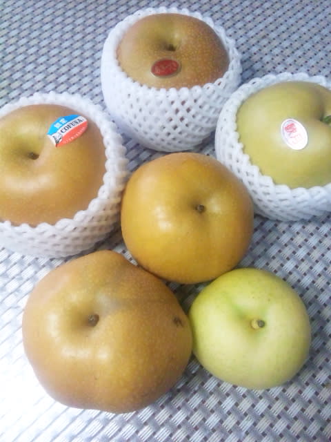 梨食べ比べの画像
