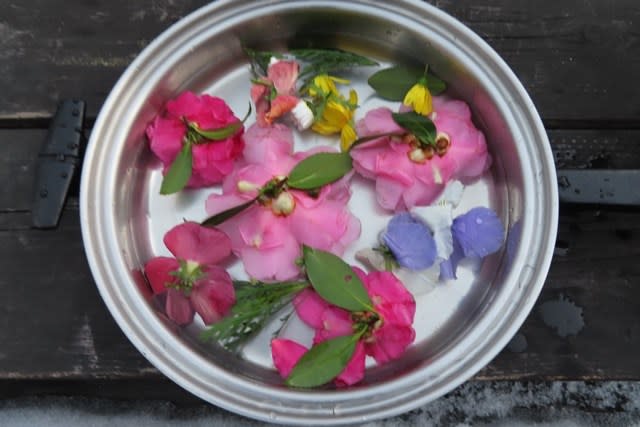 氷中花を作る 道志 私の写真日記