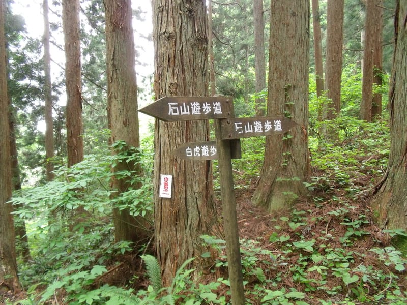 Dscf2717 Dscf2717
