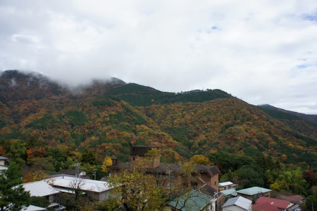 箱根の紅葉と大涌谷 Wakabyの物見遊山
