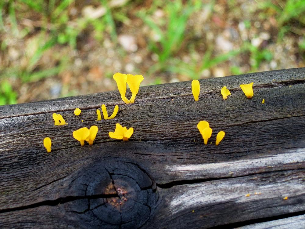 早朝、梅雨の止み間にの画像