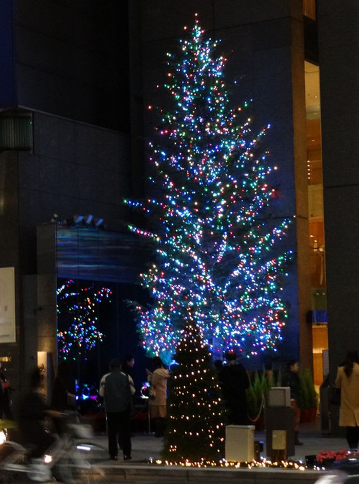 銀座ミキモト ジャンボクリスマスツリー - 都内散歩 散歩と写真