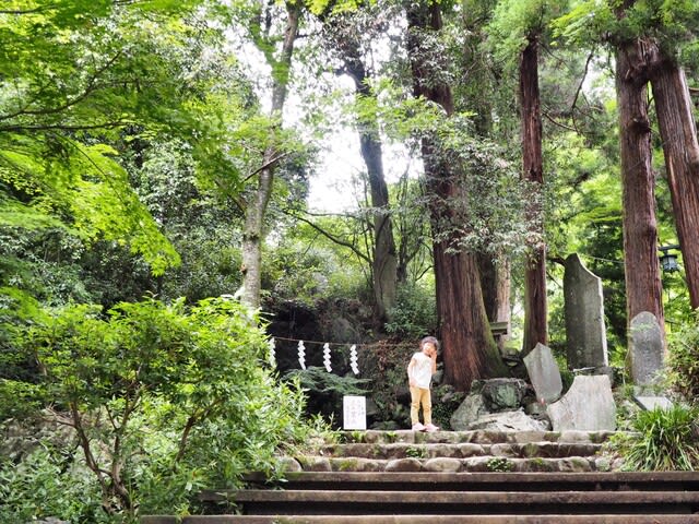 高尾山