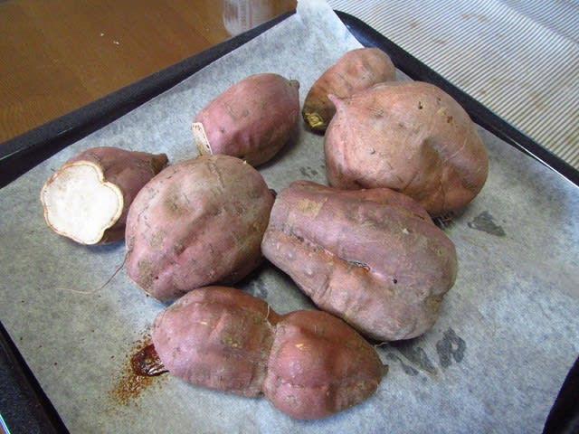 とろっとろ めちゃ甘 焼き芋はやっぱり 安納芋 大好き 野菜の時間