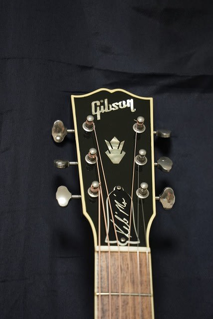 Gibson Keb Mo Blues Master 14 21年淡麗グリーンラベルcm あいみょん使用モデル Green Jukebox 君篇 ヒデェｖｈ ギターコレクション