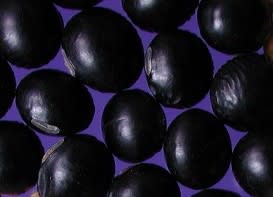 北海道の黒豆 黒大豆 品種の変遷 豆の育種のマメな話