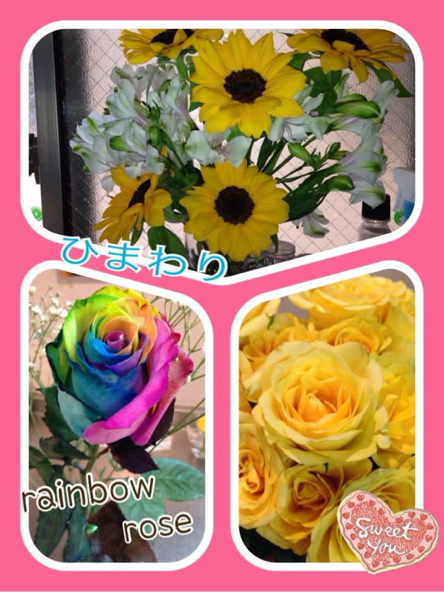 レインボーのバラ 薔薇始めました
