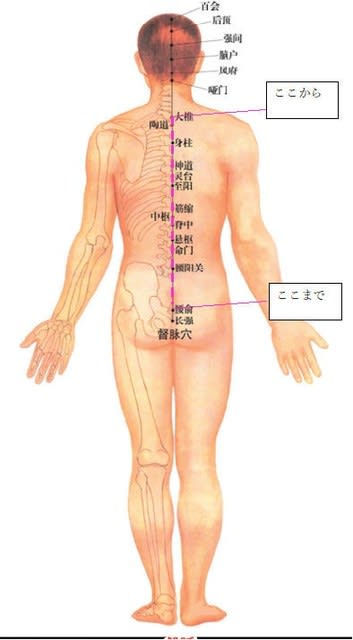 右の顎と下顎角 両肩の奥 膝の上と膝裏が痛い 3 24の臨床実践塾 しちせいブログ