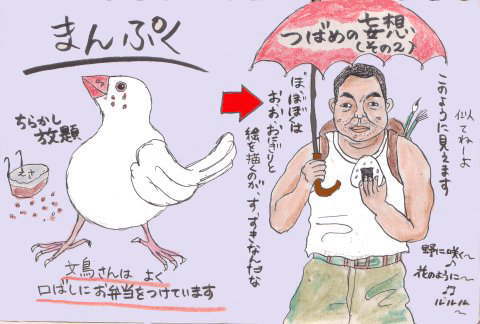 文鳥イラスト Illust 2 のブログ記事一覧 言幸 燕 日記