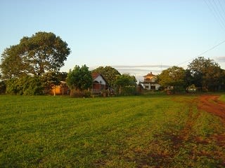 パラグアイ、ピラポ、佐藤農場 1 - 充実果樹園生活（定年就農）