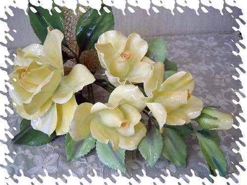 蝋の花 タキコの一日 蝋の花 タキコの一日
