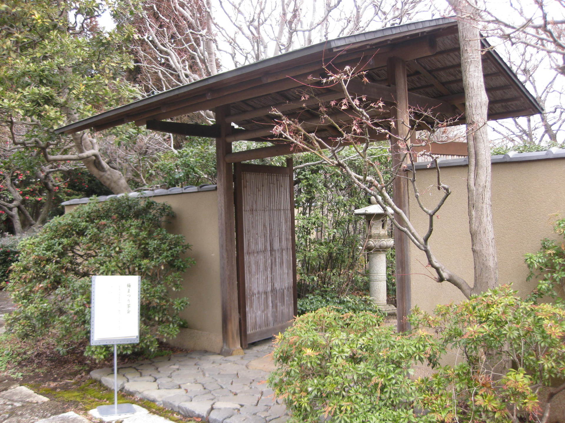 埼玉県 大宮第二公園 梅まつり 茶室 盛夏の季節 天候不順のこの頃
