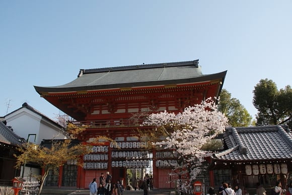 京都 １２桜 八坂神社 南楼門 京都 神楽坂 美味彩花
