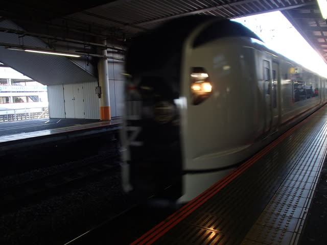 マリンエクスプレス踊り子号 鉄道写真館