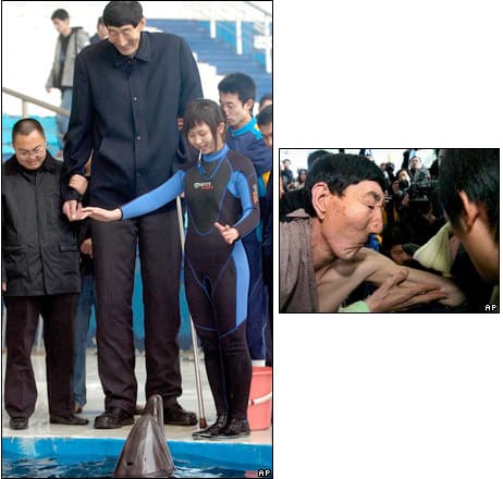 世界一長身の男性がイルカを救う c Watching