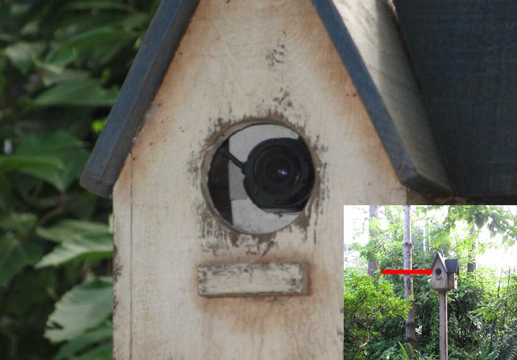 鳥小屋 に隠された監視カメラ このページでの更新は終了しました