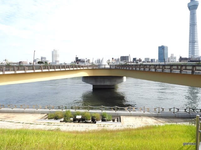 隅田川 隅田川唯一の歩道橋 桜橋には二羽のツルが飛んでいる 新イタリアの誘惑