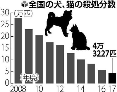 犬 猫の殺処分 過去最少 動物たちにぬくもりを