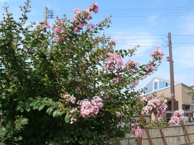 P3800959