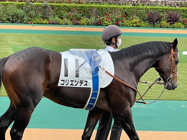 コリエンテス 次こそは まさるの一口馬主日記