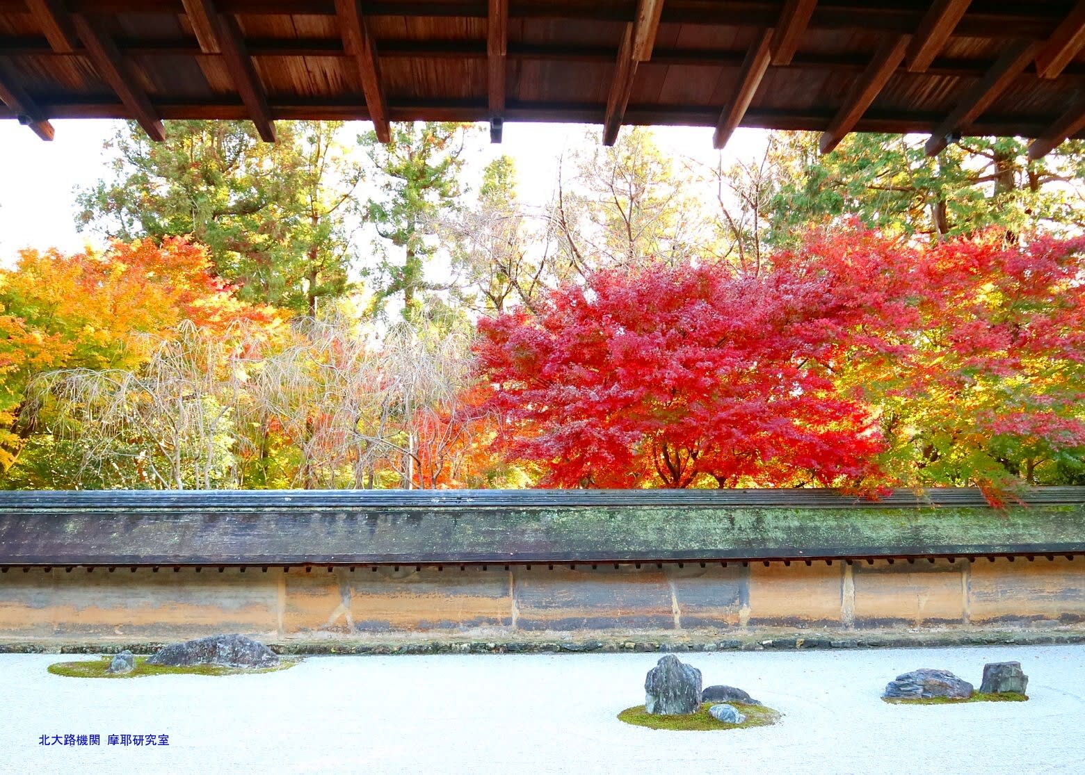 京都幕間旅情 龍安寺方丈庭園 紅葉の七五三の庭と静寂の虎の子渡しの庭に視る日本庭園史 北大路機関