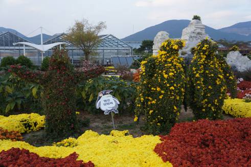 韓国旅行、巨済