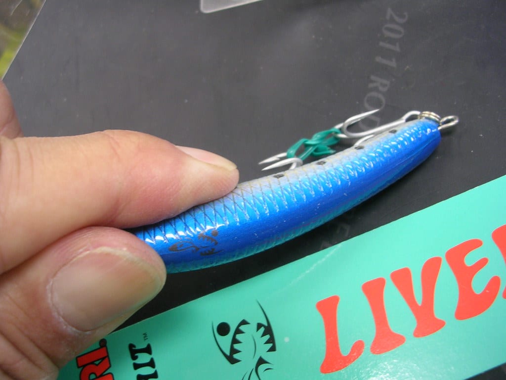 ちょっと柔らかいプラスチックのライブベイトバイブ フィッシング イズ ライフ マイルスブログ ちょっと柔らかいプラスチックのライブベイトバイブ フィッシング イズ ライフ マイルスブログ
