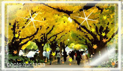 10年10月のブログ記事一覧 3ページ目 Hotなおちゃタイム 10年10月のブログ記事一覧 3ページ目 Hotなおちゃタイム