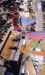 ちりも積もればやまとなでしこ 略して ちりつも やまと撫子 晴れ 時々 雨