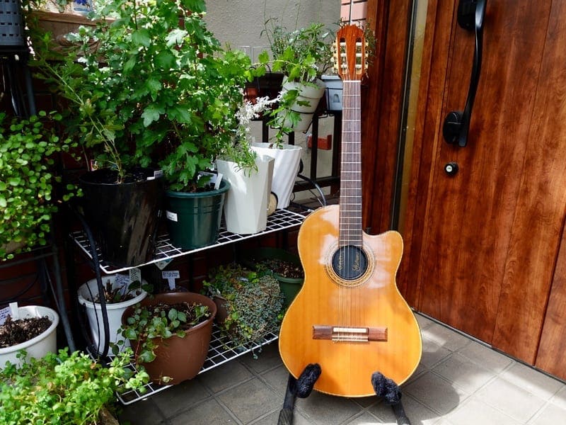 エレガットギター　mavis チェットアトキンスタイプ 新藤晴一使用機材～エレガットGibson Chet Atkins CEC編 - 飴玉の街