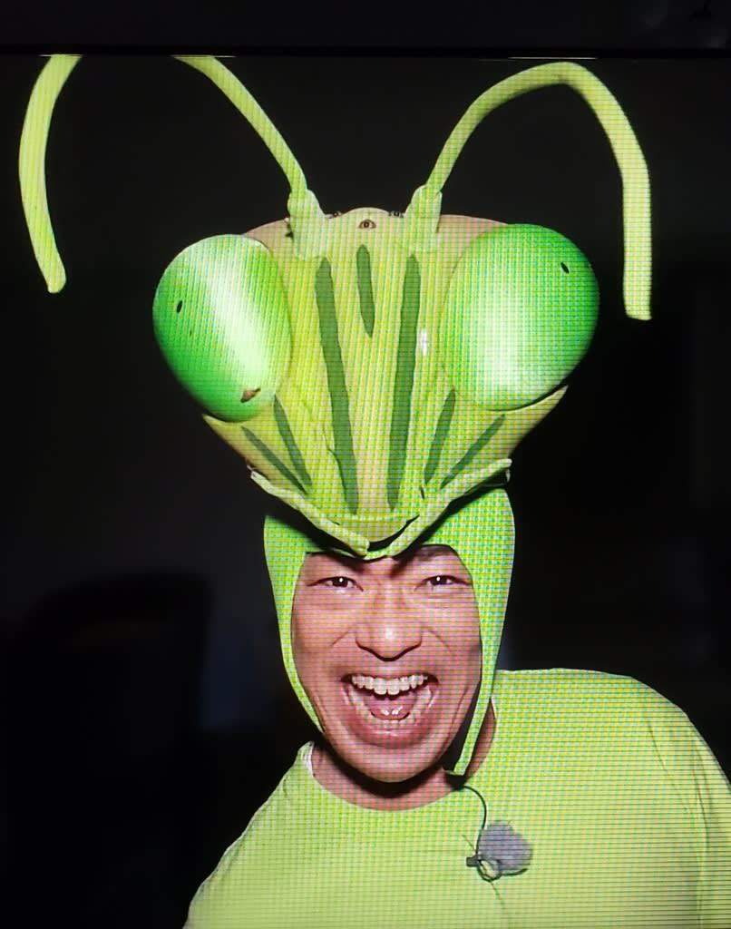 カマキリ先生がおもしろーい 超私事 葉月の 今日の出来事 カマキリ先生がおもしろーい 超私事 葉月の 今日の出来事