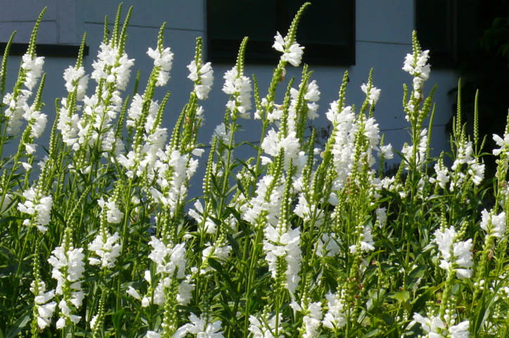 P2900383a